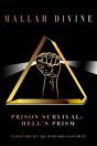 Prison Survival: Hell'S Prism - Preview