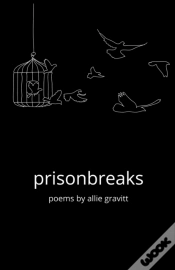 Capa do artigo Prisonbreaks