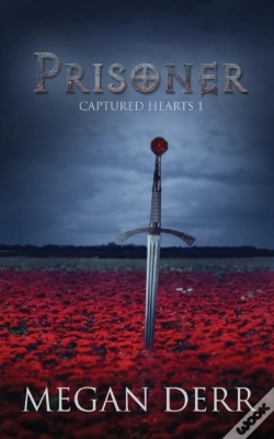 Capa do artigo Prisoner