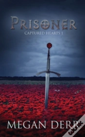 Capa do artigo Prisoner