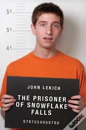 Capa do artigo Prisoner Of Snowflake Falls