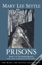 Capa do artigo Prisons