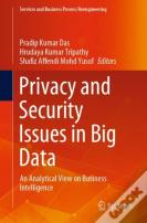 Privacy And Security Issues In Big Data
