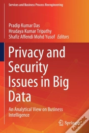 Capa do artigo Privacy And Security Issues In Big Data