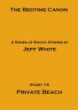 Private Beach - Preview