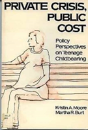 Private Crisis, Public Cost - Preview