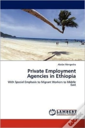 Capa do artigo Private Employment Agencies In Ethiopia