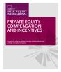 Private Equity Compensation And Incentives : A Practical Guide For General Partners, Limited Partners And Portfolio-Company Managers - Preview