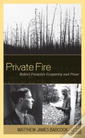 Capa do artigo Private Fire
