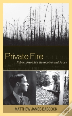 Capa do artigo Private Fire