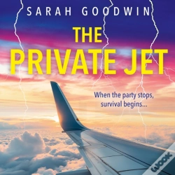 Capa do artigo Private Jet