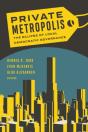 Private Metropolis - Preview