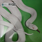 Capa do artigo Private Music - Vinil