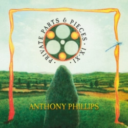 Capa do artigo Private Parts and Pieces IX-XI - CD