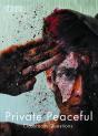 Private Peaceful Classroom Questions - Preview
