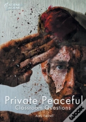 Capa do artigo Private Peaceful Classroom Questions