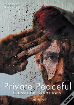 Capa do artigo Private Peaceful Classroom Questions
