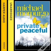 Capa do artigo Private Peaceful