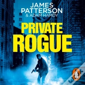 Capa do artigo Private Rogue