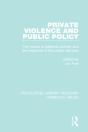 Private Violence And Public Policy - Preview