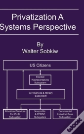 Privatization A Systems Perspective
