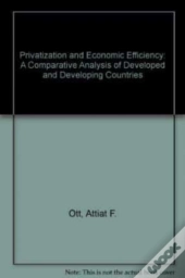 Privatization And Economic Efficiency