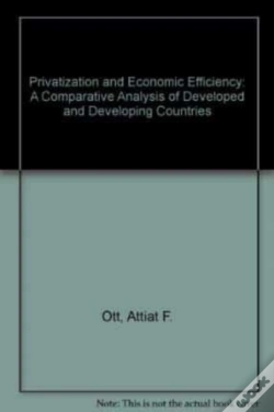 Capa do artigo Privatization And Economic Efficiency