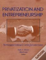 Privatization And Entrepreneurship