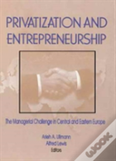 Privatization And Entrepreneurship