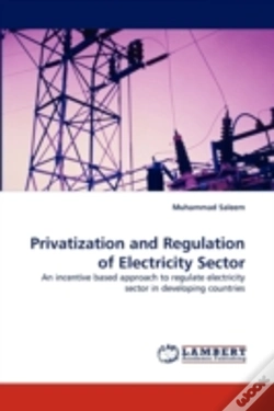 Capa do artigo Privatization And Regulation Of Electricity Sector