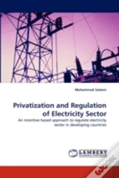 Privatization And Regulation Of Electricity Sector