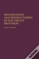 Privatization And Restructuring Of Electricity Provision