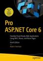 Pro Asp.Net Core 6 - Preview