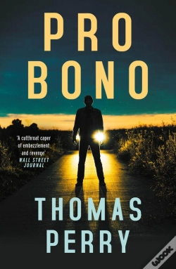 Capa do artigo Pro Bono