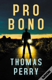 Capa do artigo Pro Bono