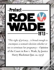 Pro Choice Defend Roe V Wade 1973 Reproductive Rights Notebook Journal Diary