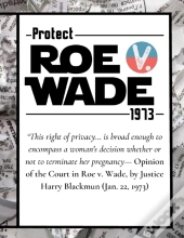 Pro Choice Defend Roe V Wade 1973 Reproductive Rights Notebook Journal Diary