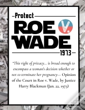Capa do artigo Pro Choice Defend Roe V Wade 1973 Reproductive Rights Notebook Journal Diary