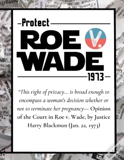Capa do artigo Pro Choice Defend Roe V Wade 1973 Reproductive Rights Notebook Journal Diary