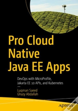 Capa do artigo Pro Cloud Native Java Ee Apps