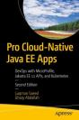 Pro Cloud-Native Java Ee Apps - Preview