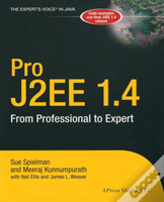 Pro J2ee 1.4: From Professional To Expert