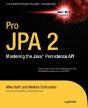 Pro Jpa 2 - Preview
