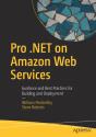 Pro .Net On Amazon Web Services - Preview