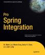 Pro Spring Integration - Preview