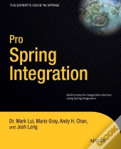 Pro Spring Integration