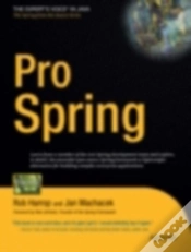Capa do artigo Pro Spring