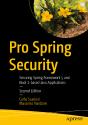 Pro Spring Security - Preview