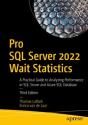 Pro Sql Server 2022 Wait Statistics - Preview