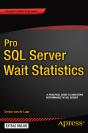 Pro Sql Server Wait Statistics - Preview